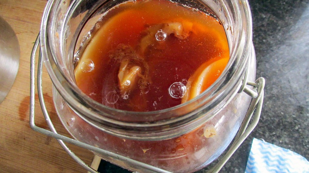 Add the scoby to the jar with approximately 250ml of the kombucha starter.